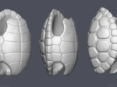 Stylized Cartoon Turtle Shell 3D model