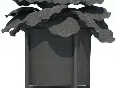 Plants collection 69 Modernica pots 3D model