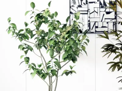 Modern Plant Potting 3D model