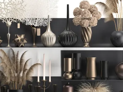 Collection of decor dried flowers on a shelf 3D model