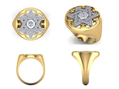 Ring bi113 3D print model