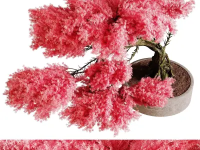 Indoor plants 76 - Plant in pot 3D model