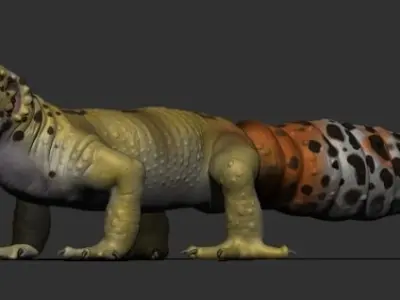 Leopard Gecko 3D model