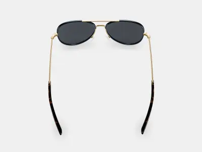 Raider Sunglasses in Brushed Ink with Polished Gold 3D model