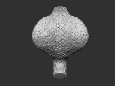 Cobra Head 3D model