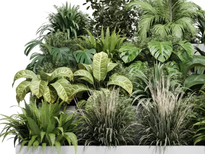  plant  stairs concrete vase pot fern bush grass 3D model