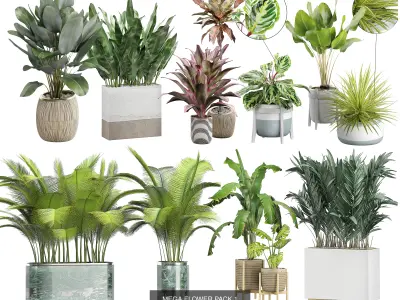 Ultra Flower Interior Decoration Pack 1 3D Model Collection