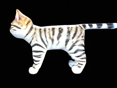 Little Kittie Cat 3D model