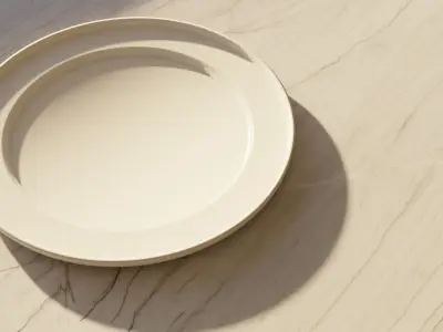 plate 3D model
