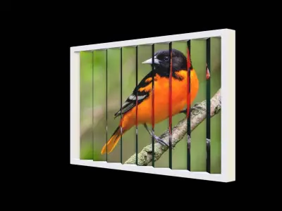 double sided image Low-poly 3D model