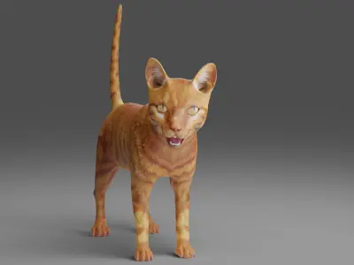 Cat Yellow V3 Rigged and Animated Low-poly 3D model