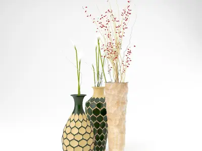 Vases With Flower 3D model