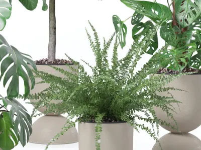 Plants collection 127 3D model