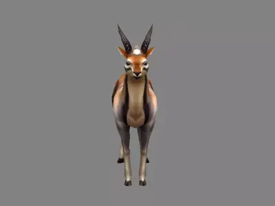Cartoon gazelle Low-poly 3D model