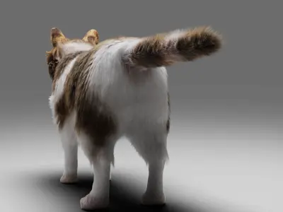 Fur Calico Cat V03 No Rigged Low-poly 3D model