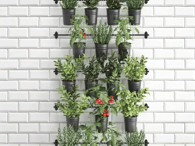 Decorative plants for the kitchen on railing 3802 3D model