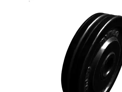 Realistic Gym Weight Plate 3D Model Low-poly 3D model