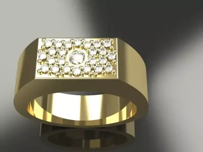 Flush Pave Diamond Ring Gold Silver Luxury Jewelry 3D print model