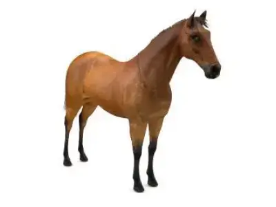 horse 3D model