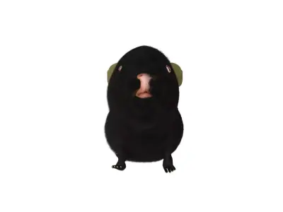 guinea pig 3D model