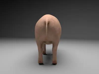 Pig model with 6 different textures Low-poly 3D model