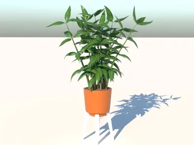 Dracaena and Pot  Low-poly 3D model