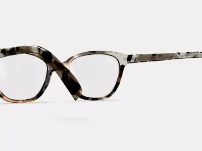 Correct Eyeglasses in Ecru Tortoise 3D model