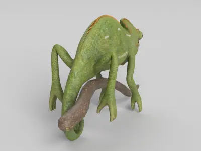 Chameleon 3D model