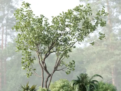 garden pot tree bush Collection outdoor indoor 113 3D model