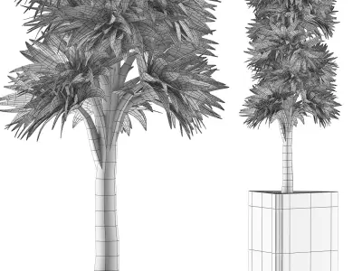 Plants Collection 113 3D model