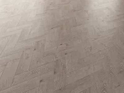 Parquet Oak Nordic NEW WWL set 5 3D model