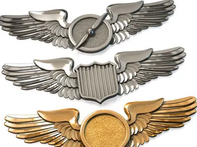 Wings badges 3D model