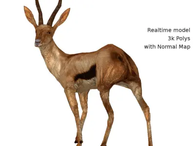 Generic Realtime African Brown Buck Low-poly 3D model