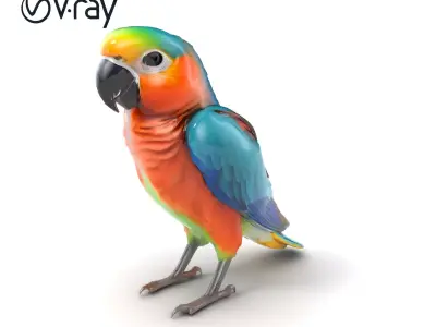 Colorful Parrot Species 3D Model Pack Low-poly 3D model