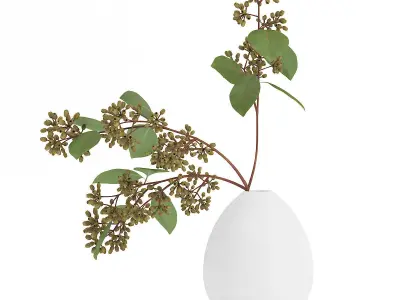 Sugar Gum Twigs in White Vase 3D model