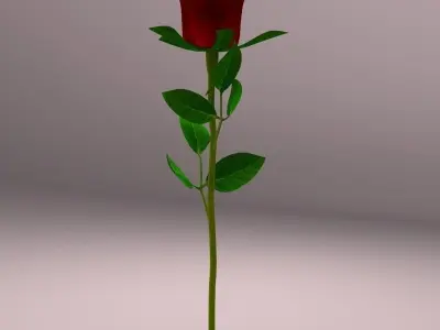 Realistic Rose 3D model