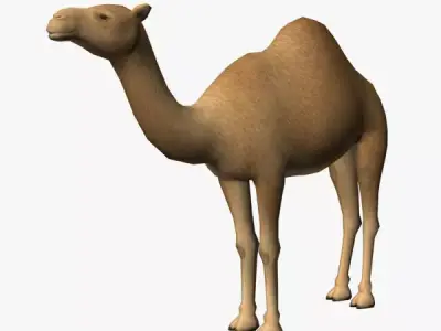 Camel Low-poly 3D model
