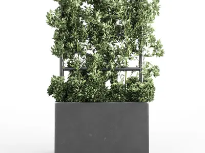Botanical Planter 3D model