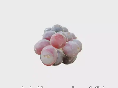 Realistic Purple Grape Cluster Model Low-poly 3D model