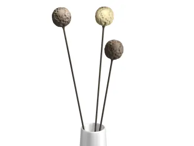 White Vase with Dried Flowers 3D model
