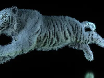 Raja The White Bengal Tiger 3D Model 3D model