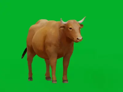 Limousin Cattle Low-poly 3D model