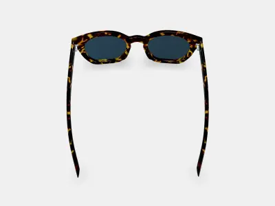 Terrell Sunglasses in Black Oak Tortoise 3D model
