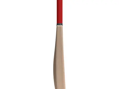 Generic Cricket Bat 3D model