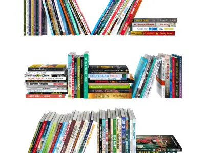 110 different books 2 3D model