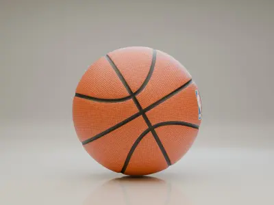 Basketball 3D model order