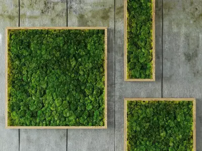 Moss modules 3D model