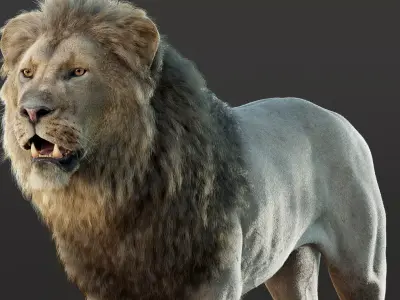 Lion 2025  RIG Maya -  Xgen-Core 3D model