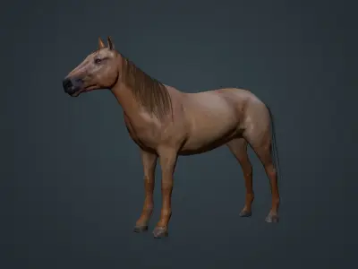 Game Asset PBR Texture Horse  Low-poly 3D model