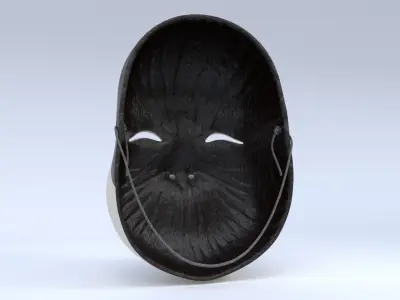 Japanese Noh mask collection